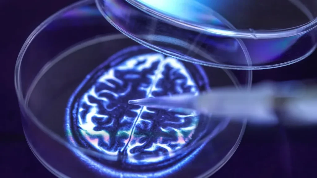 pharma news 386 68c956dae6869 - Nuovo test del sangue per rilevare l'Alzheimer in fase pre-sintomatica: un passo avanti nella diagnosi precoce