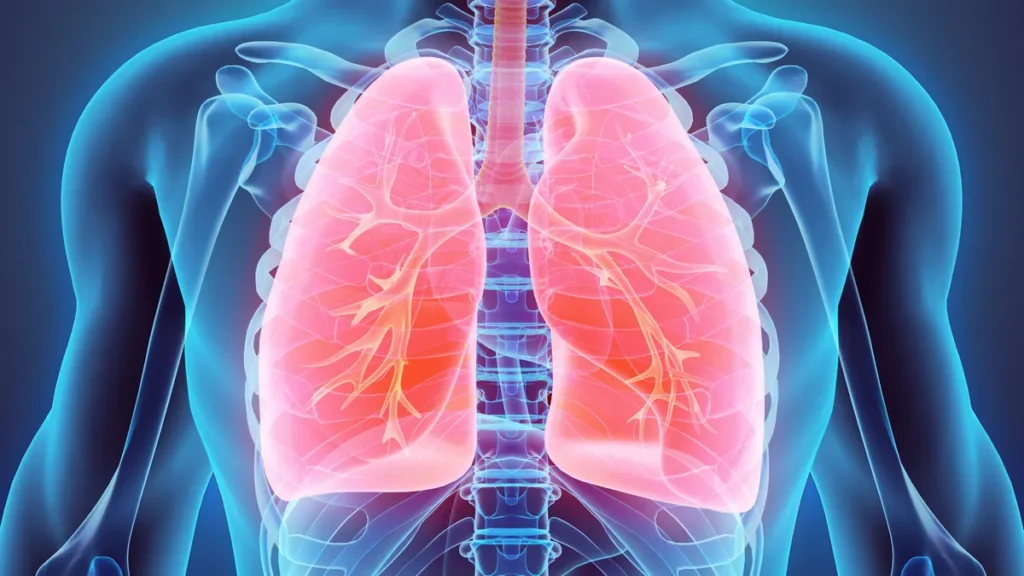 pharma news 390 68c956ecdc263 - AllRock Bio lancia un nuovo farmaco sperimentale per l'ipertensione polmonare